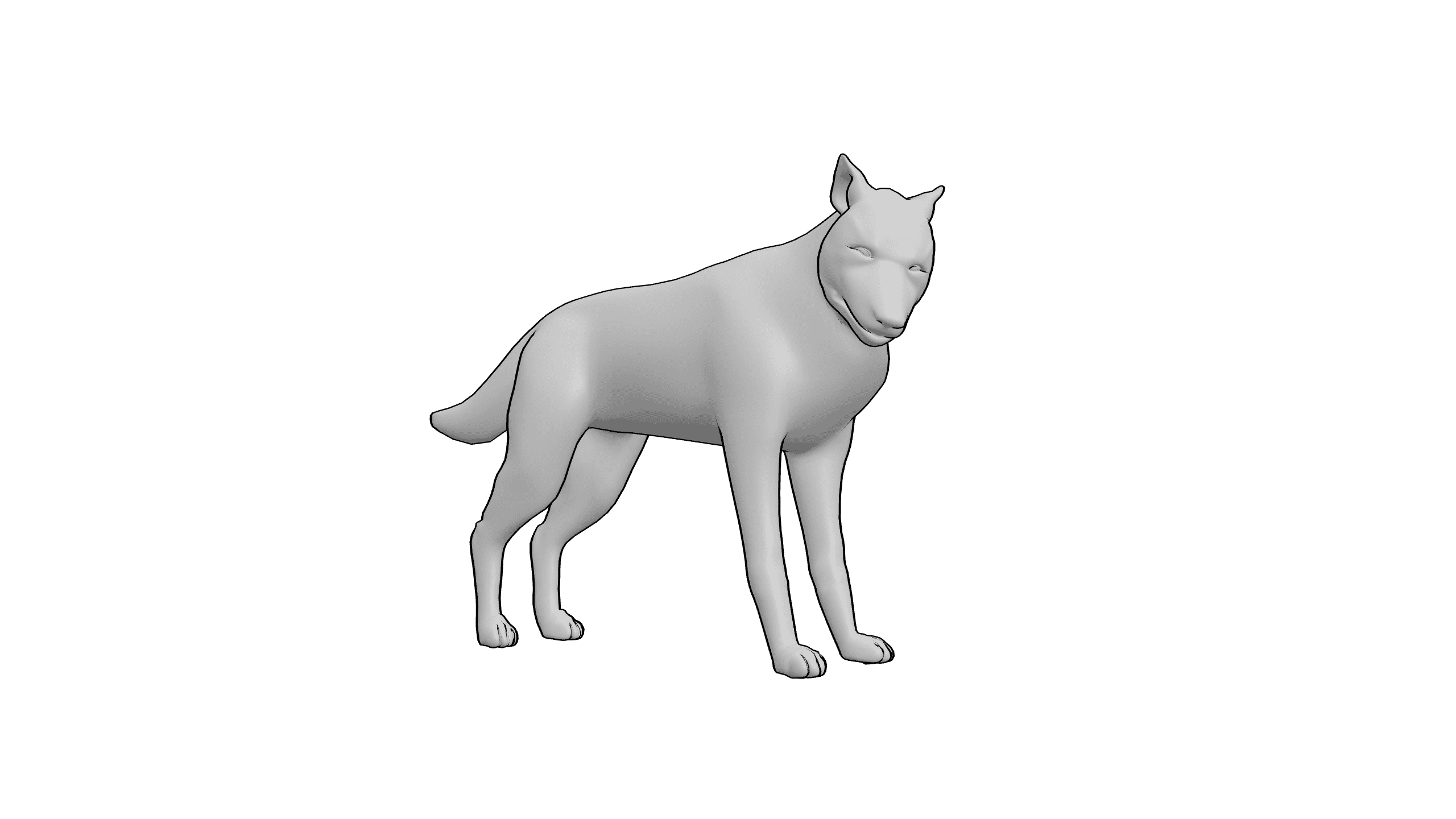 犬类自然站立姿态